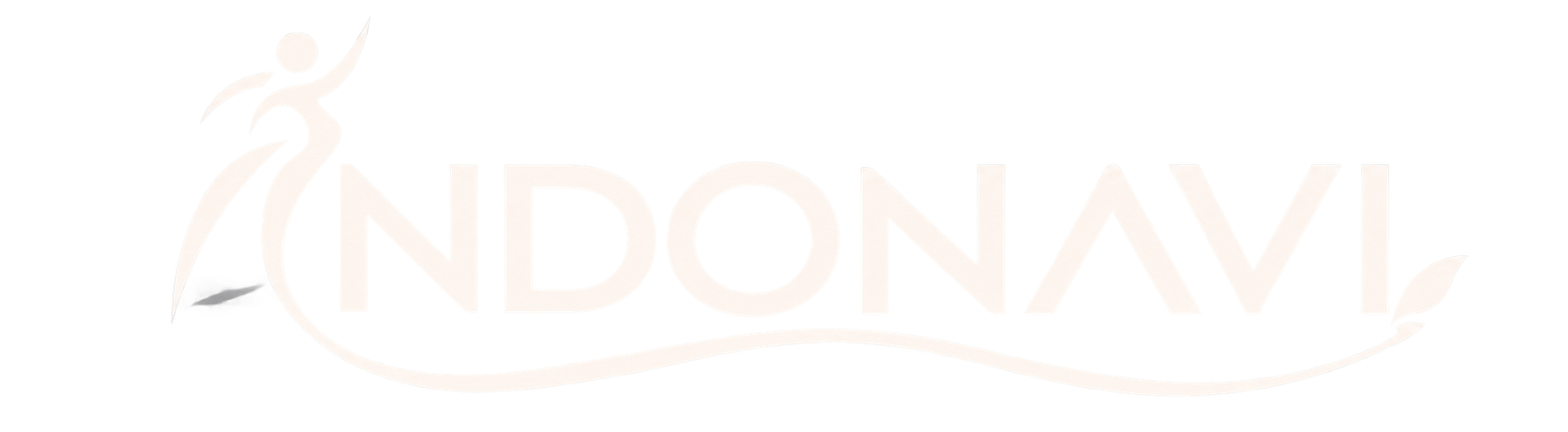 Indonavi